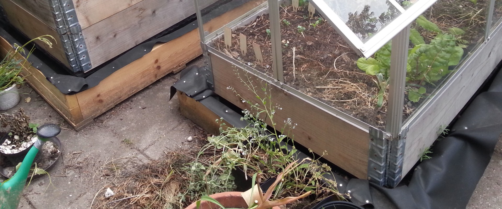 Can You Replace the Roof of a Greenhouse Yourself?