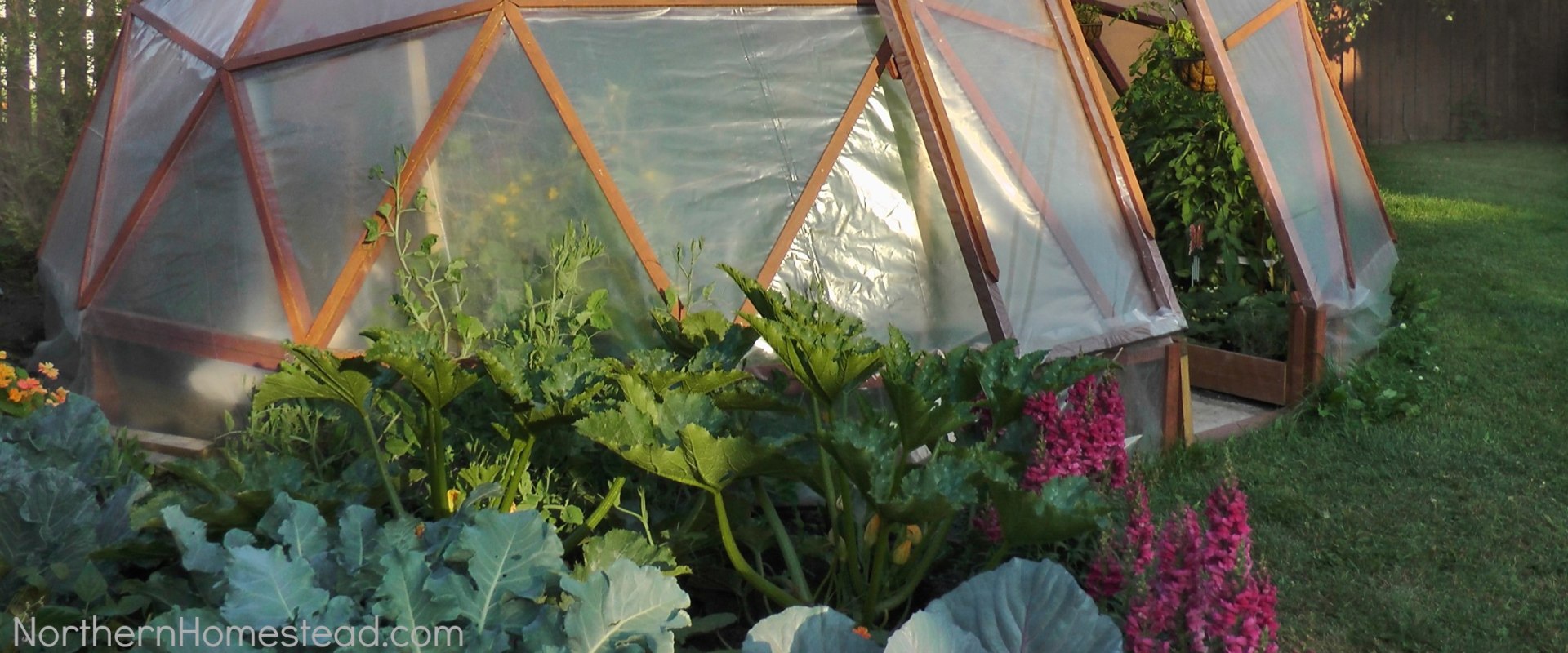 How Much Does it Cost to Replace the Roof of a Greenhouse?
