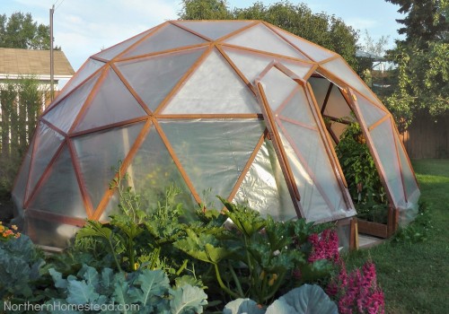 How Much Does it Cost to Replace the Roof of a Greenhouse?